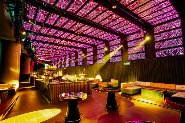 Soft Opening Dragonfly KL ft Vicetone & Crystal Q 28-29 June 2019